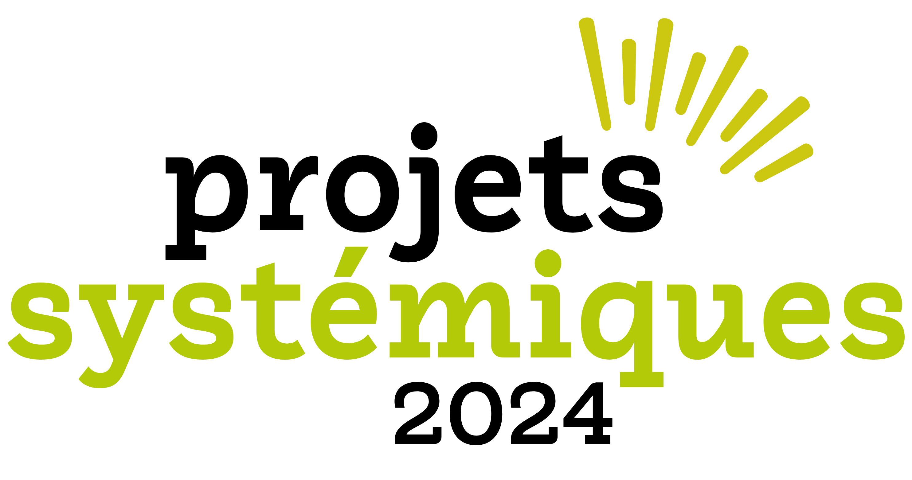 Logo projets systémiques 2024