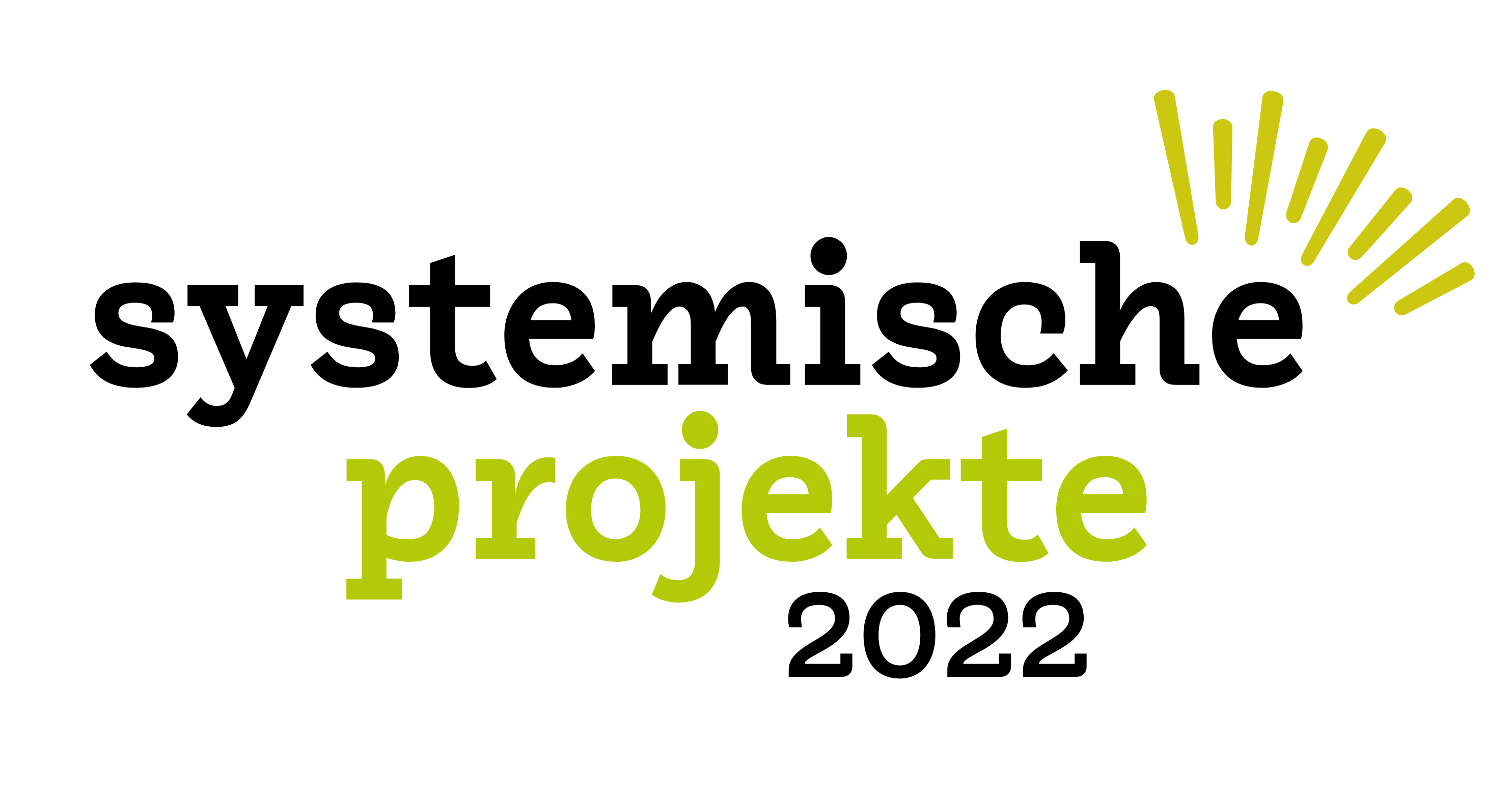 Systemische Projekte 2022