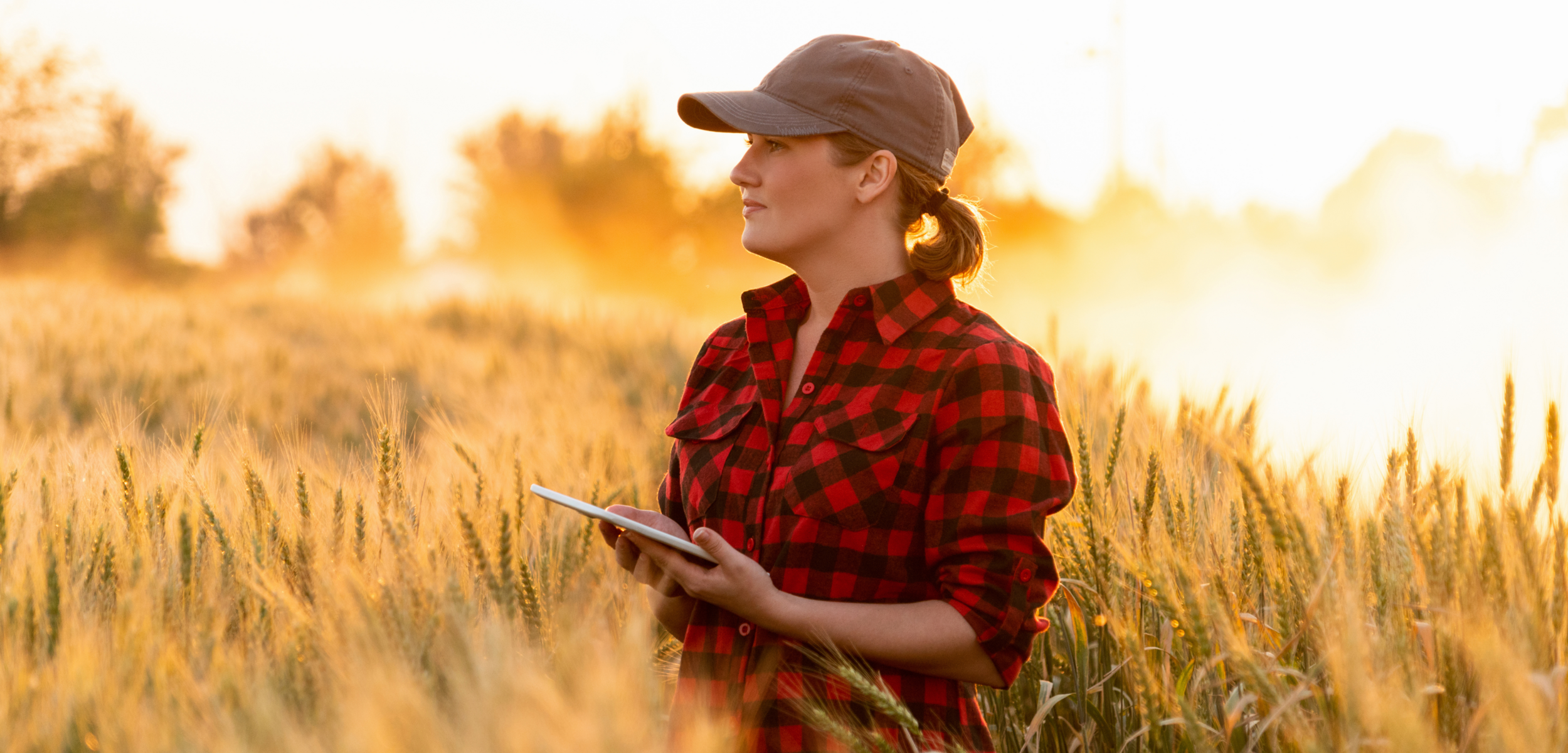 Photo d'une agricultrice dans un champs de blé