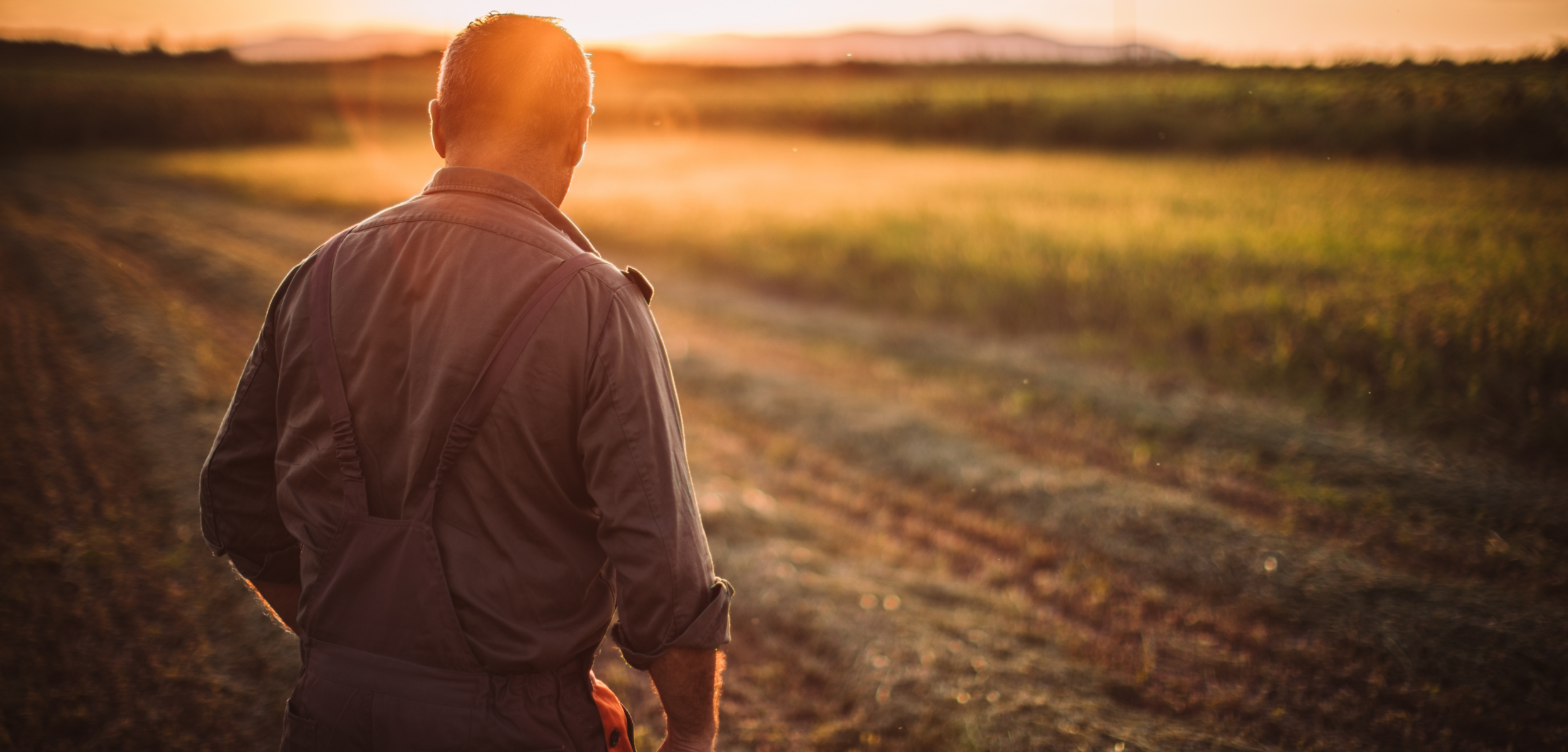 Photo d'un agriculteur dans un champ